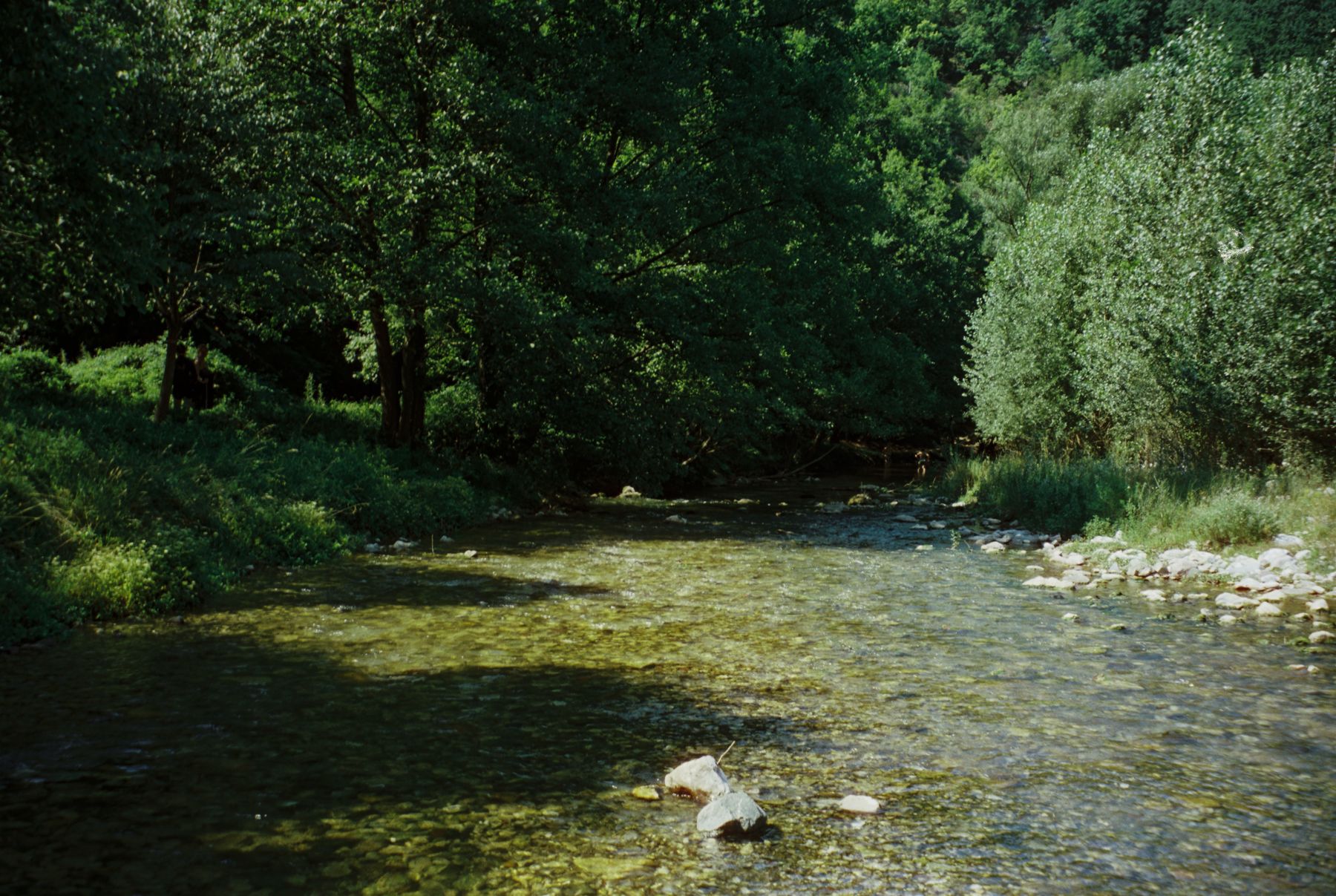 Clear water running past the bank